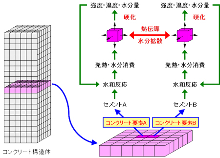 コンクリート構造体中で生じる発熱・熱伝導・水分拡散と強度発現のモデル化